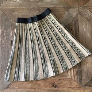 Jealous Tomato Flared Sparkly Skirt
